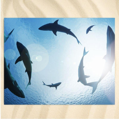 The Sharks Extra Large Towel