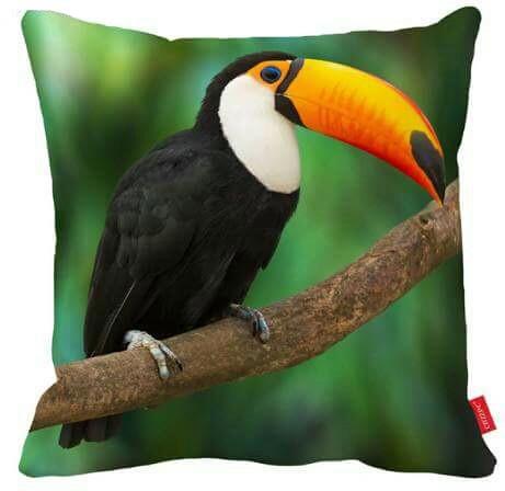 Toucan on The Branch Pillow Cover